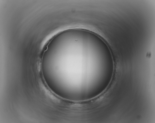 X0000113621510200909251154