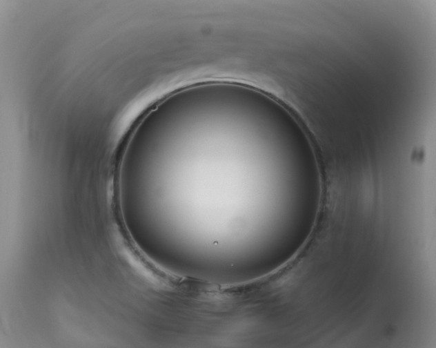 X0000113621511200909251154