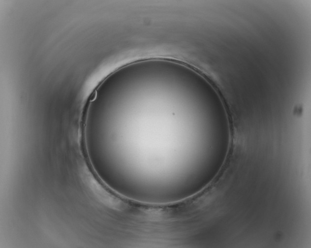 X0000113621512200909251154