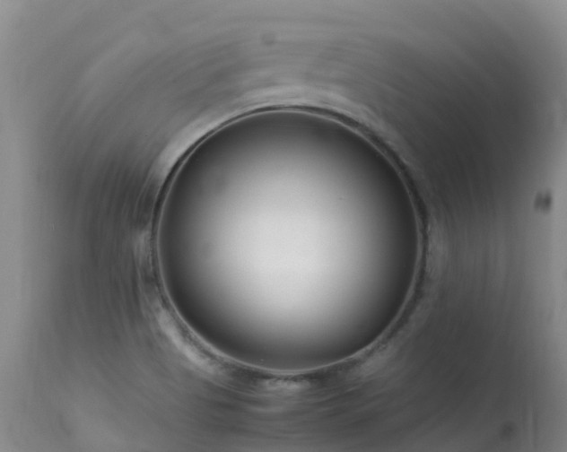 X0000113621513200909251154