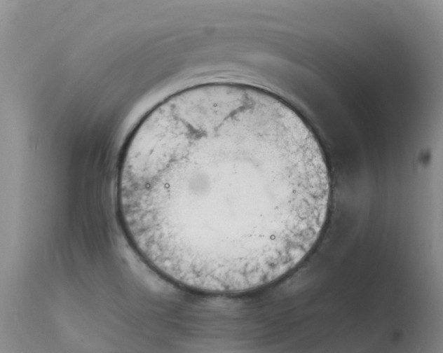 X0000113621514200909251154