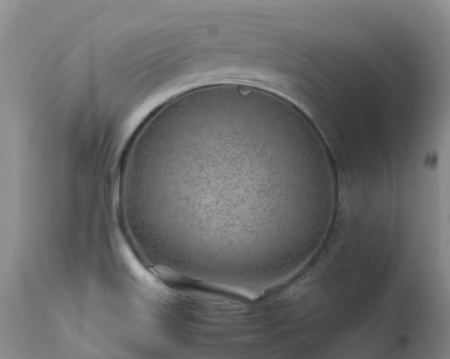 X0000113621515200909251154