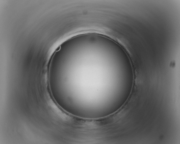 X0000113621516200909251154