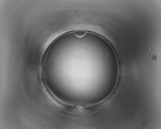 X0000113621517200909251154