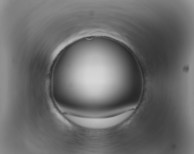 X0000113621518200909251154