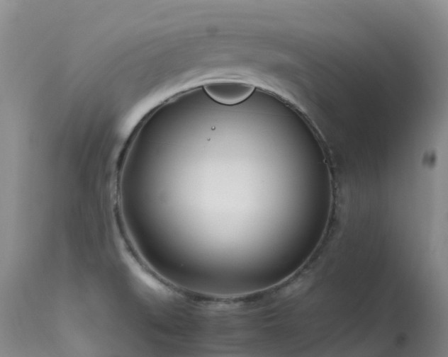 X0000113621519200909251154