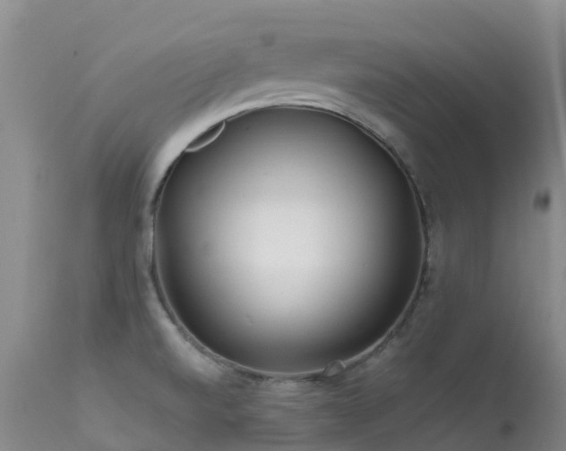 X0000113621520200909251154