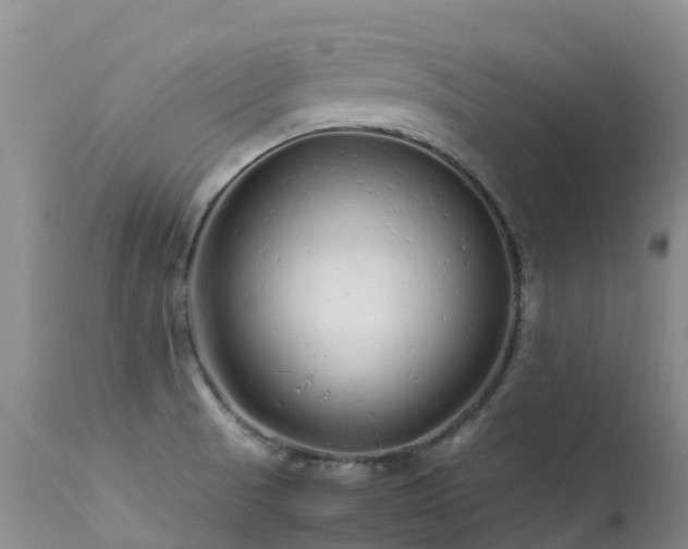 X0000113621521200909251154