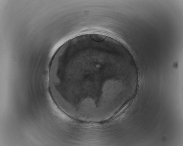 X0000113621522200909251154