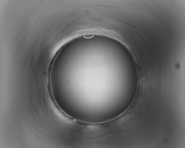 X0000113621523200909251154