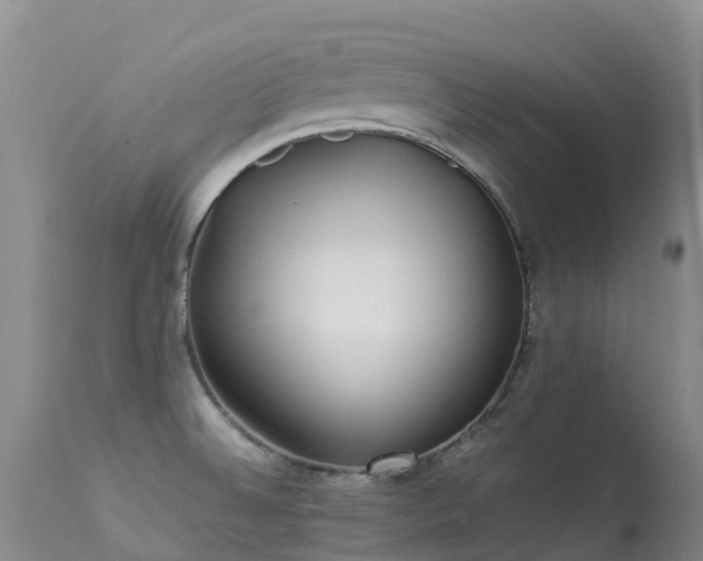 X0000113621524200909251154