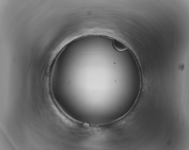 X0000113621525200909251154