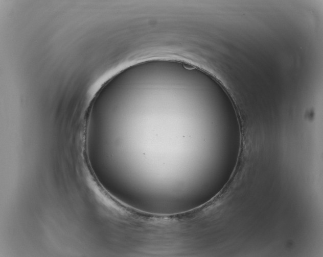 X0000113621526200909251154