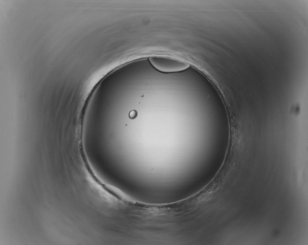 X0000113621527200909251154