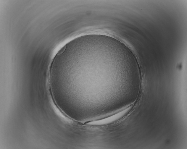 X0000113621528200909251154