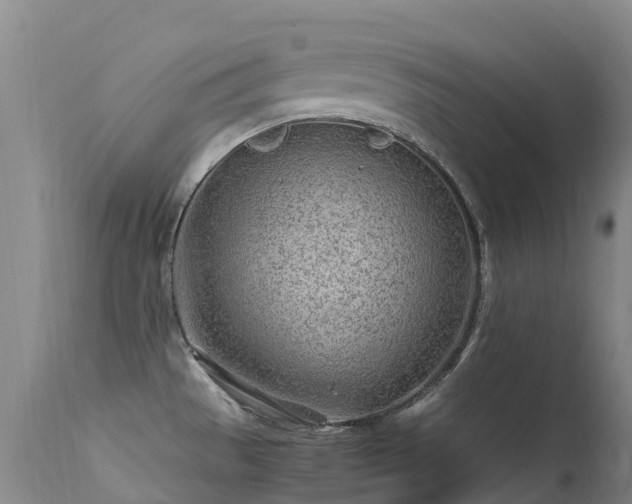 X0000113621529200909251154