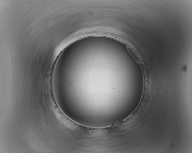 X0000113621530200909251154