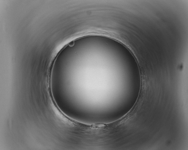 X0000113621531200909251154