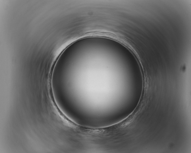 X0000113621533200909251154