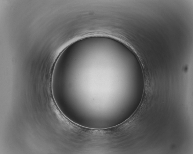 X0000113621534200909251154