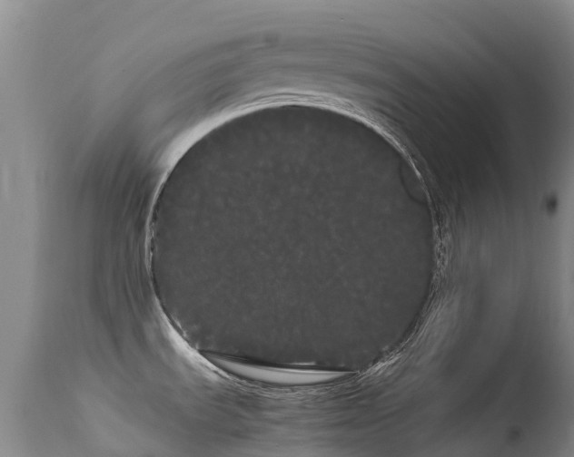 X0000113621535200909251154