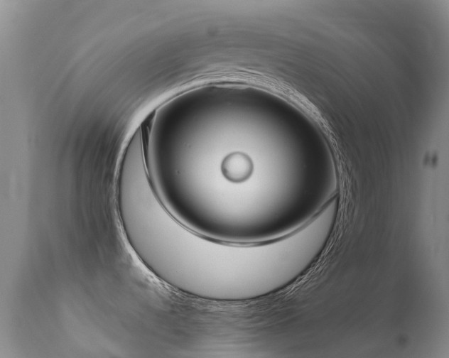 X0000113621536200909251154