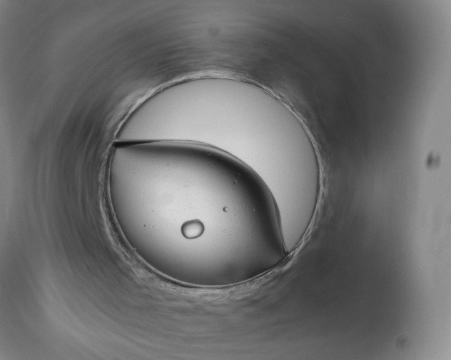 X0000113620001200910021839