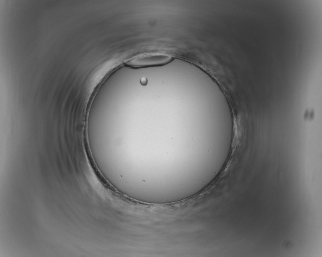 X0000113620003200910021839