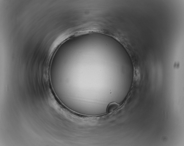 X0000113620004200910021839