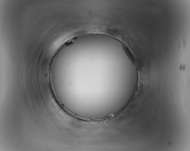 X0000113620005200910021839