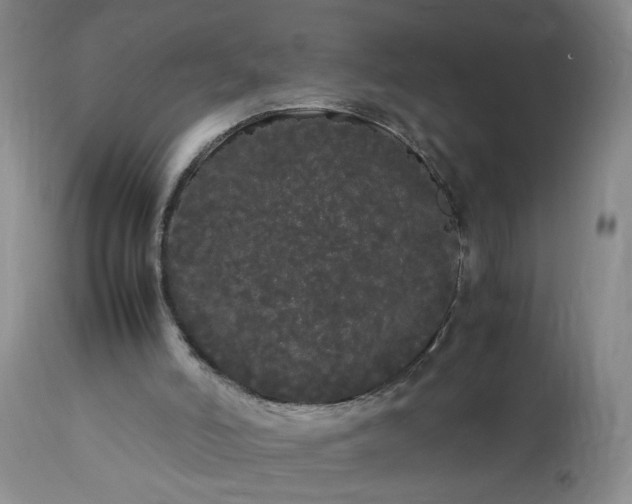 X0000113620006200910021839