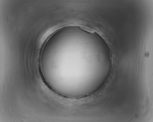 X0000113620007200910021839