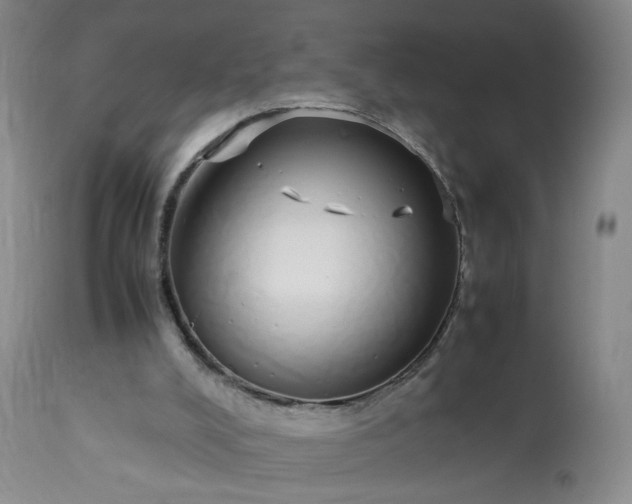 X0000113620008200910021839