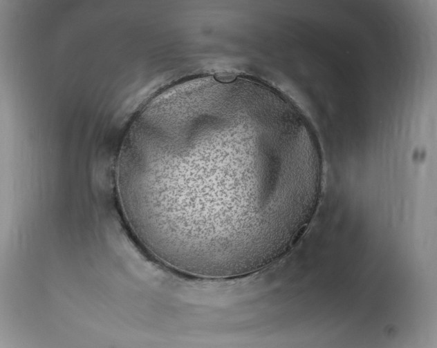 X0000113620009200910021839