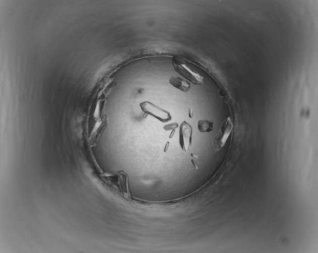 X0000113620010200910021839