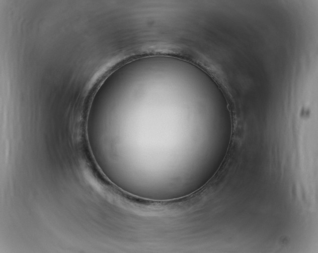 X0000113620012200910021839