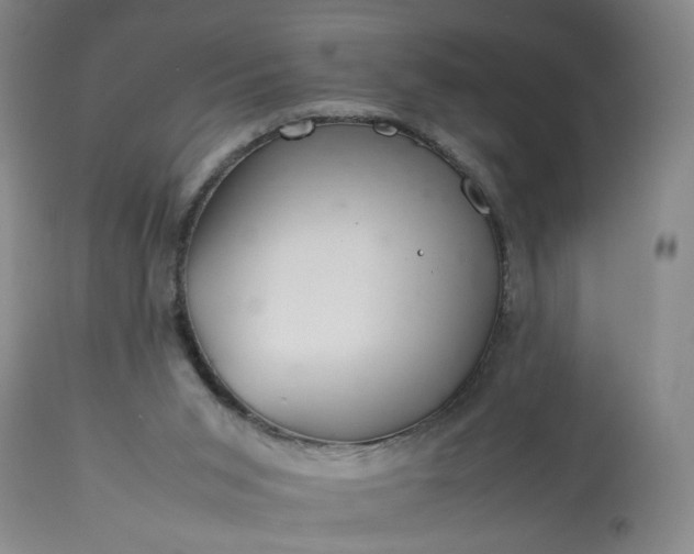 X0000113620015200910021839