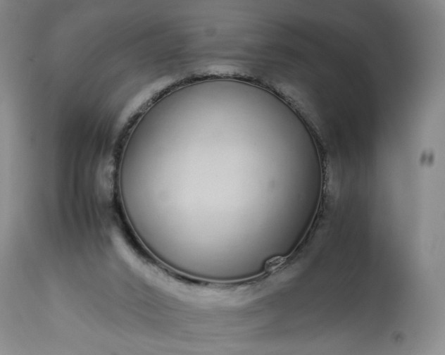 X0000113620016200910021839