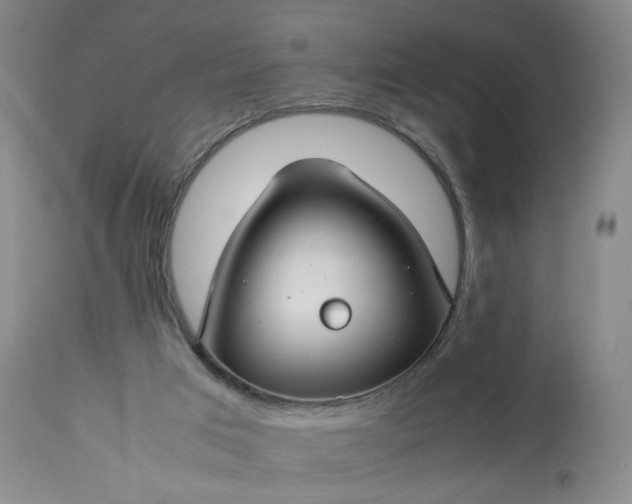 X0000113620017200910021839