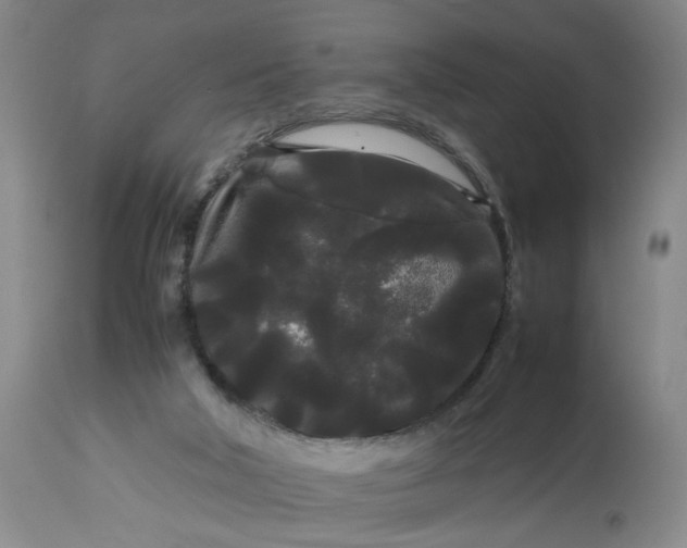 X0000113620018200910021839