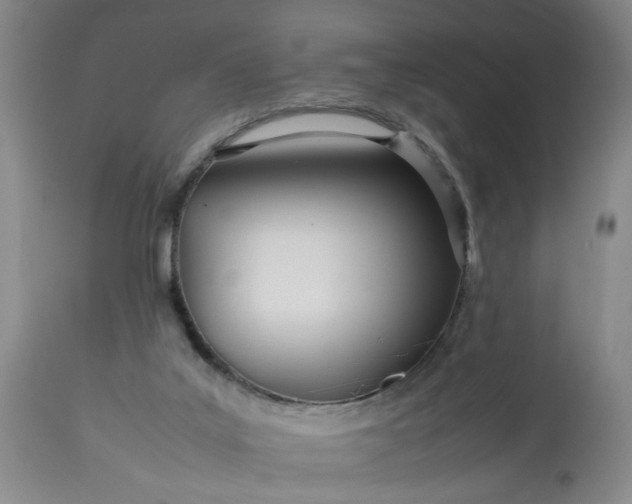 X0000113620019200910021839