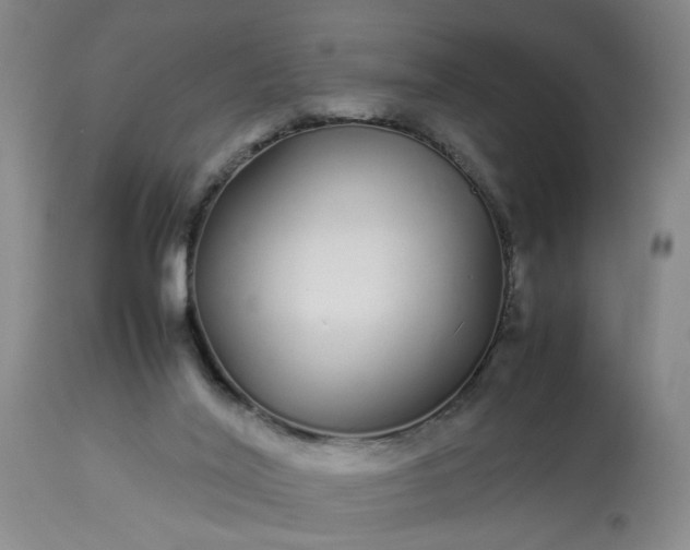 X0000113620020200910021839