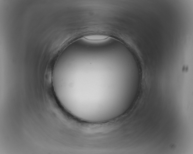 X0000113620021200910021839