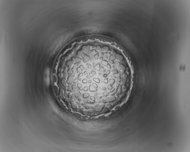 X0000113620022200910021839