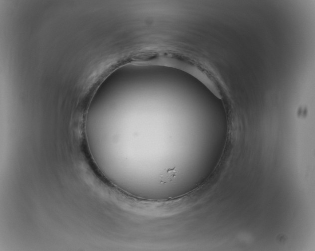 X0000113620023200910021839