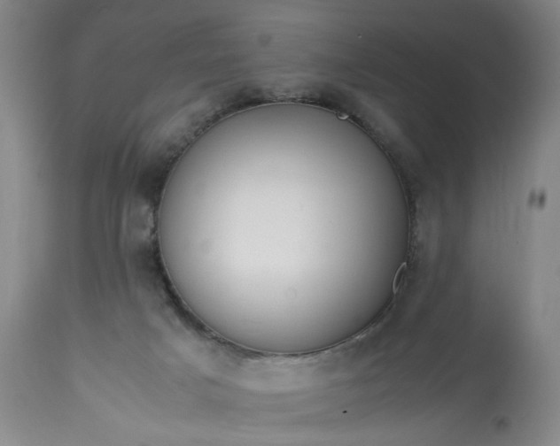 X0000113620025200910021839