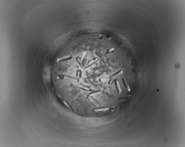 X0000113620026200910021839