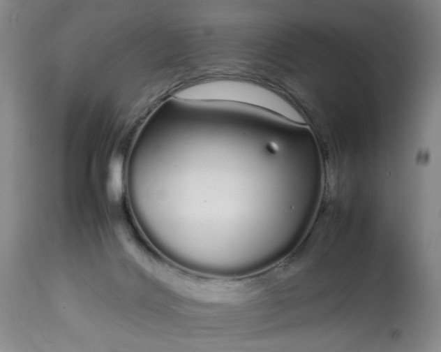 X0000113620028200910021839