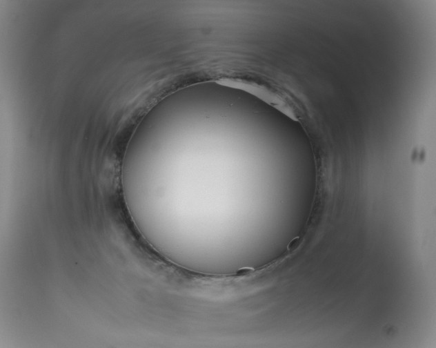 X0000113620029200910021839