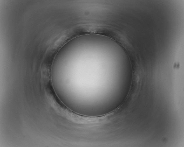 X0000113620031200910021839